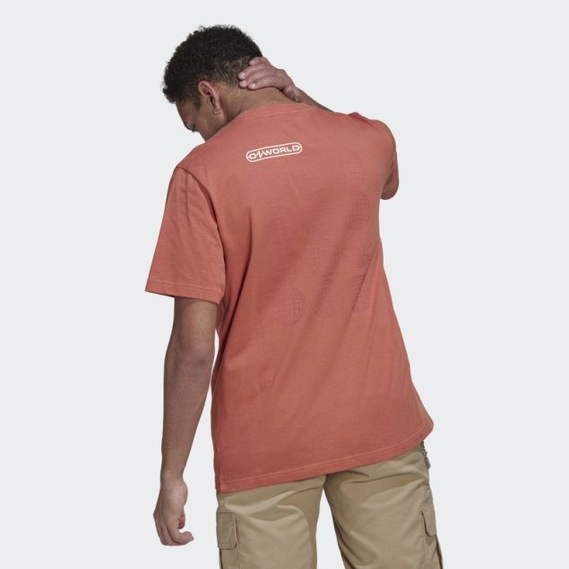 Camiseta Adidas Graphic Ozworld Tierra