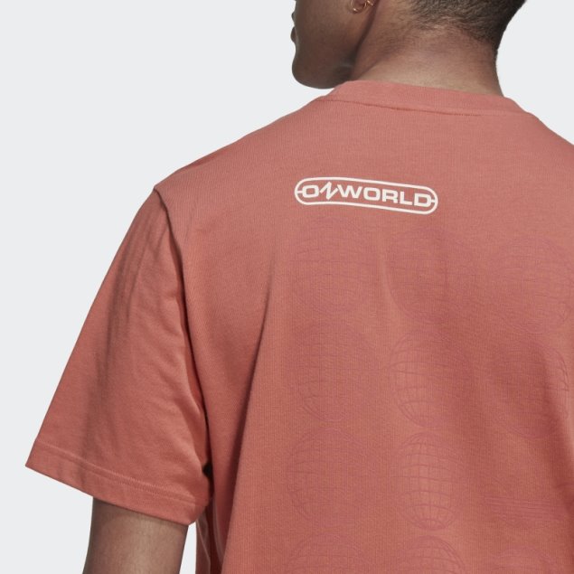 Camiseta Adidas Graphic Ozworld Tierra