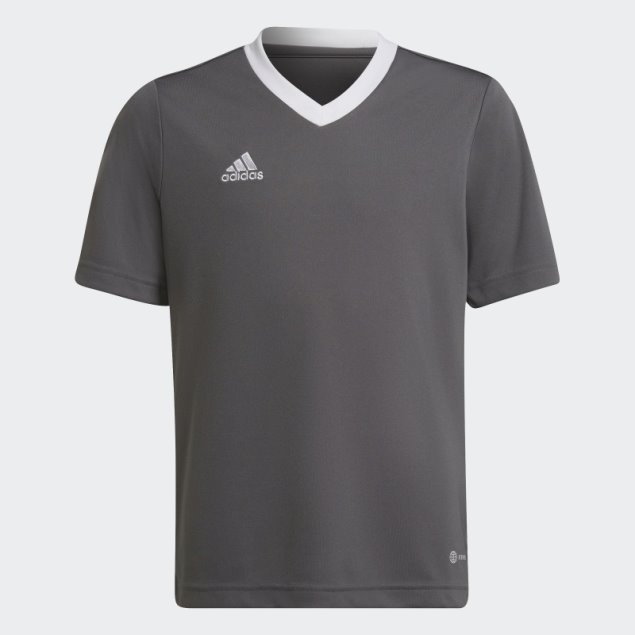 Entrada 22 Camiseta Adidas Gris