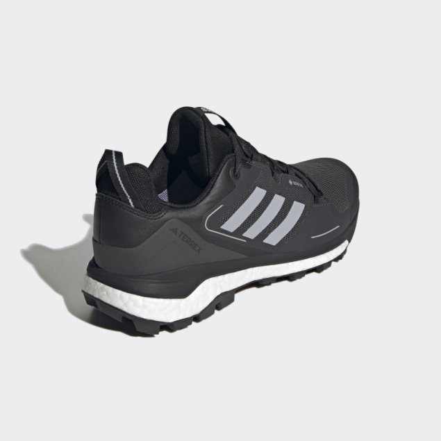 Zapatillas Terrex Skychaser Gore-tex 2.0 Negro Adidas