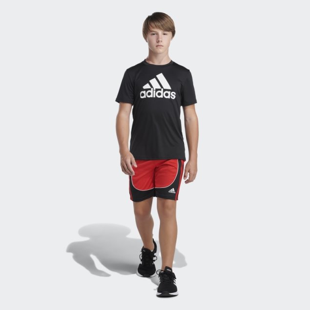 Pantalones Cortos Adidas Creator Rojos