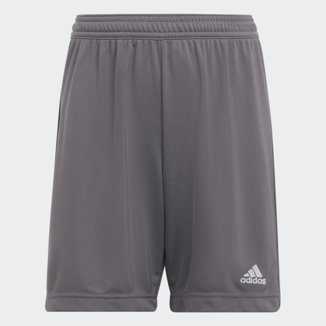 Pantalón Corto Gris Adidas Entrada 22