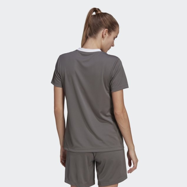 Camiseta Adidas Entrada 22 Gris
