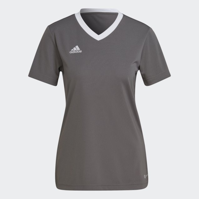 Camiseta Adidas Entrada 22 Gris