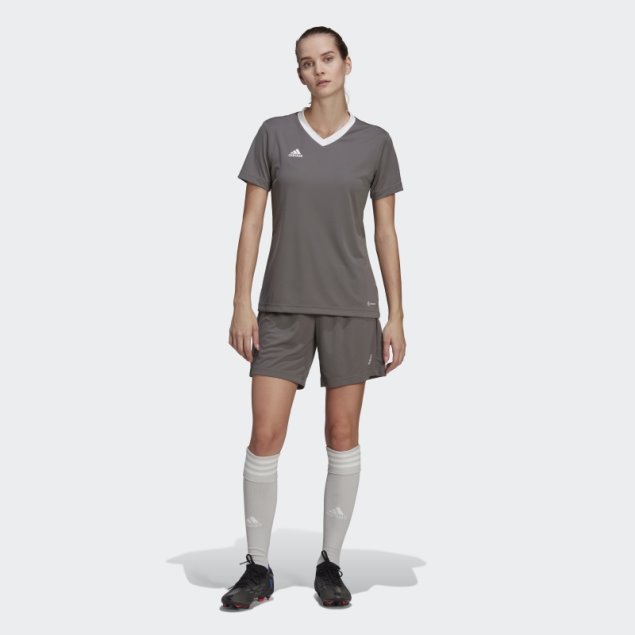 Camiseta Adidas Entrada 22 Gris