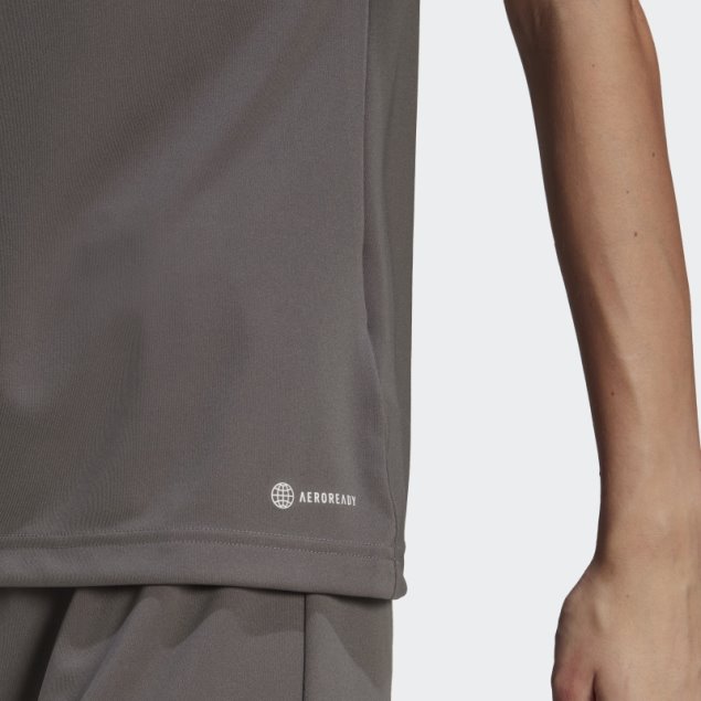 Camiseta Adidas Entrada 22 Gris