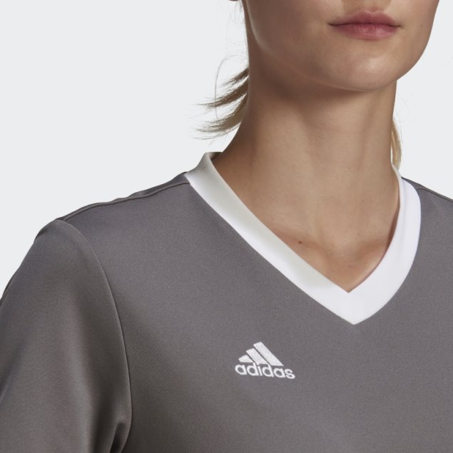 Camiseta Adidas Entrada 22 Gris