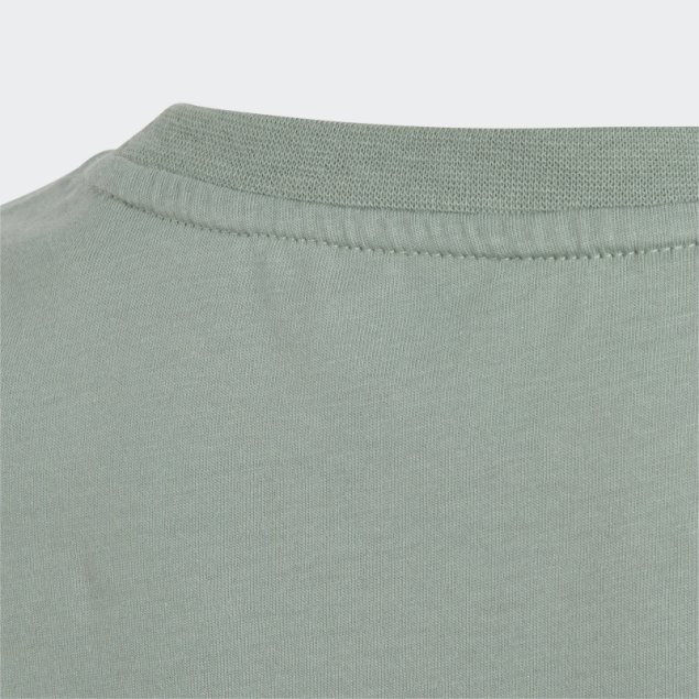 Camiseta Adidas Adicolor Verde Plata
