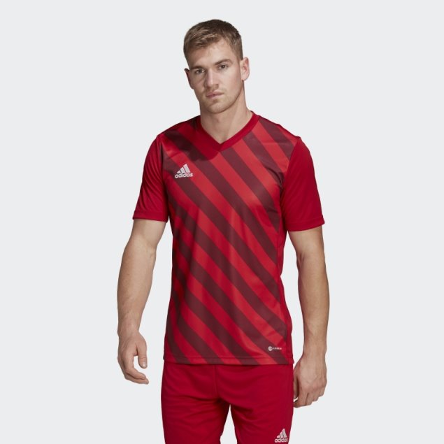 Camiseta Roja Adidas Entrada 22 Graphic