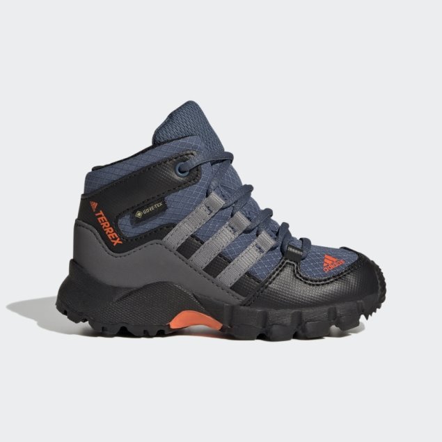 Zapatillas Terrex Mid Gtx Adidas Acero