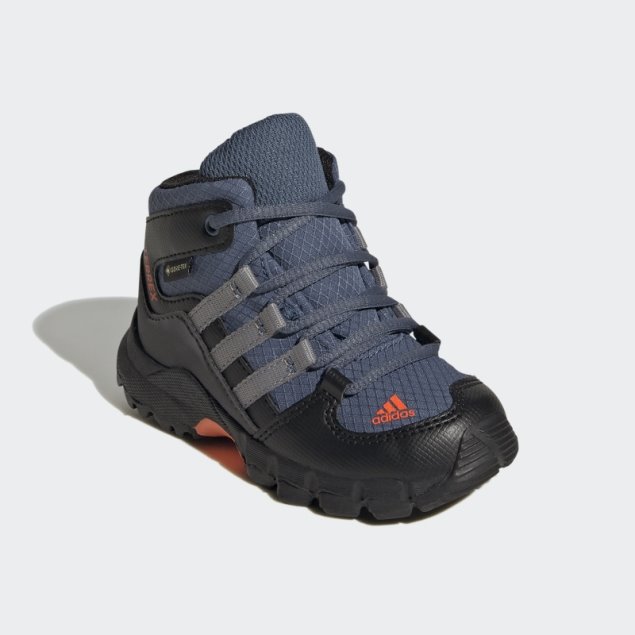 Zapatillas Terrex Mid Gtx Adidas Acero
