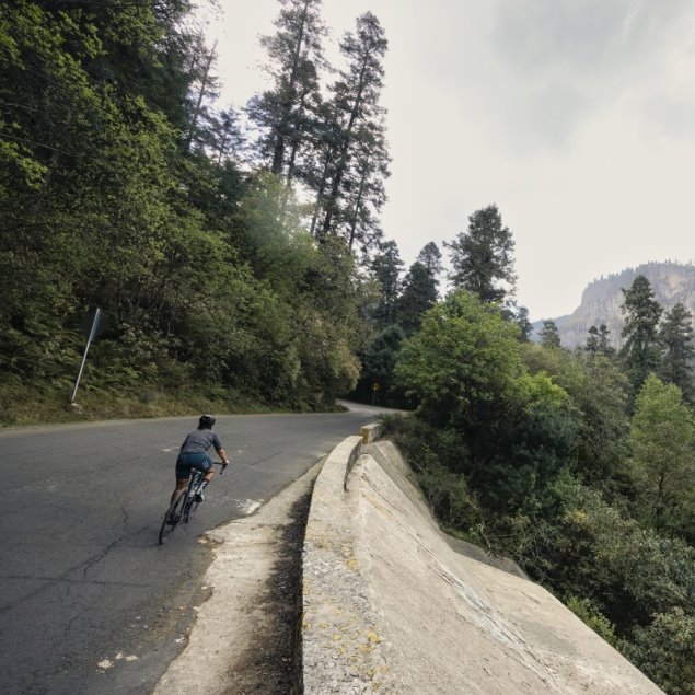 Zapatillas Parley Road Boa Hazy Esmeralda Adidas