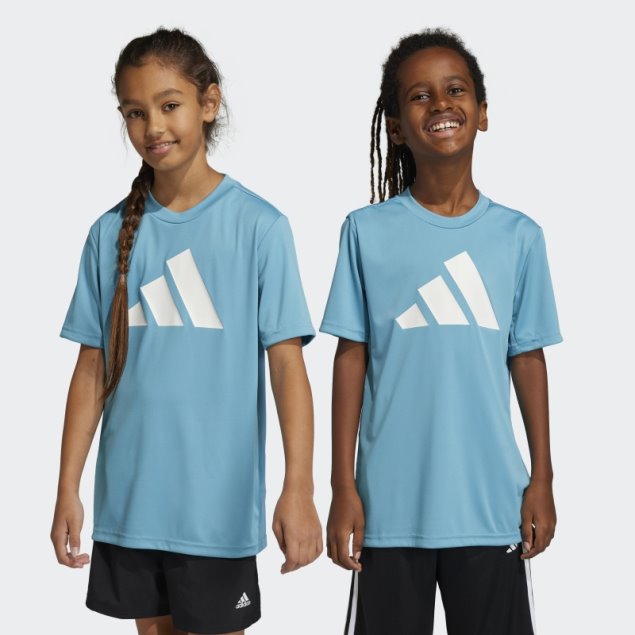 Camiseta Adidas Train Essentials Aeroready Logo Regular-fit Azul
