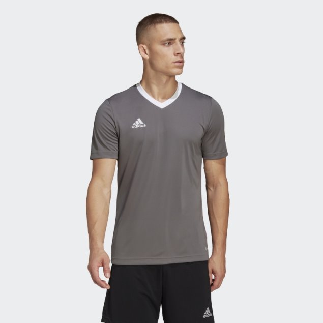 Camiseta Gris Entrada 22 Adidas