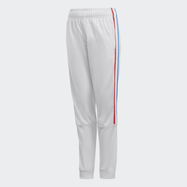 Pantalón De Chándal Adidas Adicolor Dash Gris