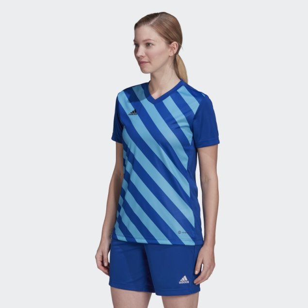 Adidas Camiseta Gráfica Azul Royal Entrada 22