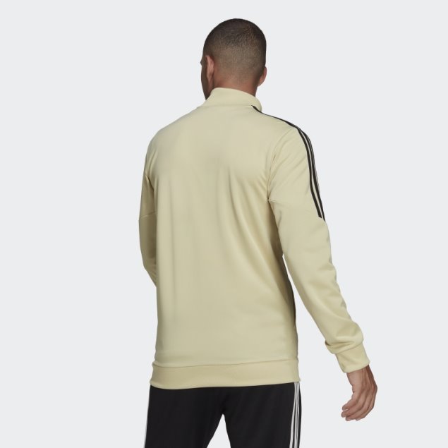 Benfica Condivo Chaqueta De Chándal Arena Beige Adidas