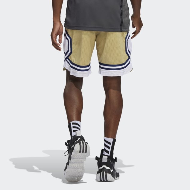 Adidas Chaquetas Amarillas Swingman Pantalones Cortos Arena