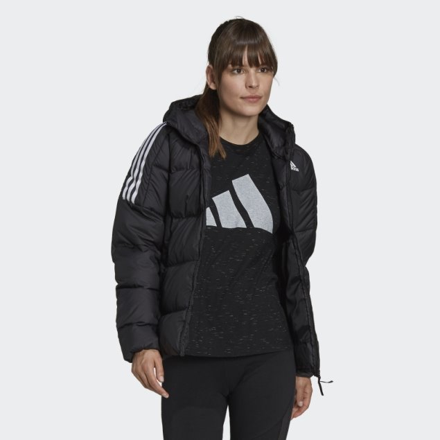 Chaqueta Con Capucha Essentials De Peso Medio Negro Adidas