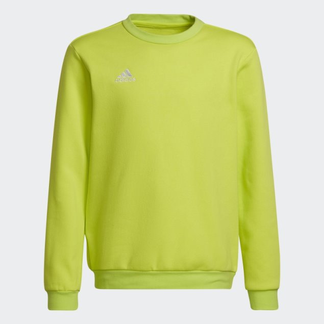Hot Entrada 22 Sudadera Sol Amarillo Adidas