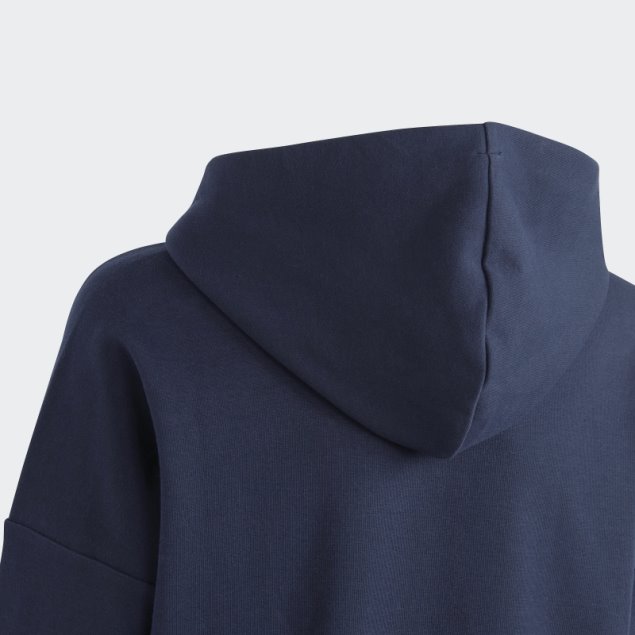 Sudadera Con Capucha Logo Iconos Futuro Tinta Adidas