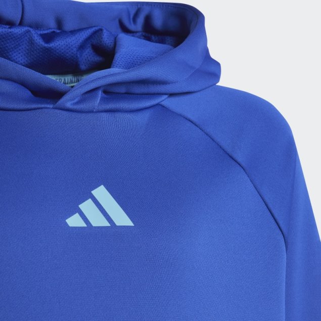Adidas Sudadera Con Capucha De 3 Rayas Aeroready Con Iconos De Tren Azul