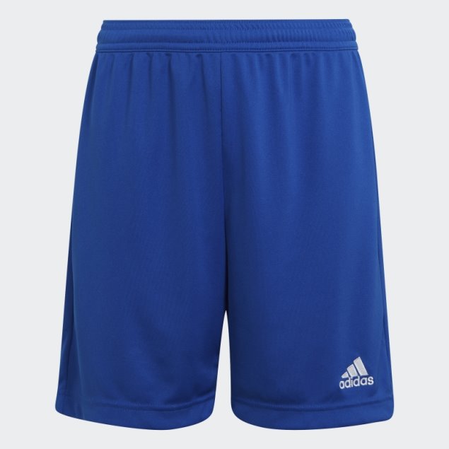Pantalón Corto Azul Real Entrada 22 Adidas