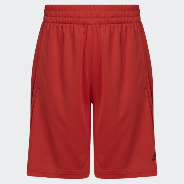 Y Bold 3s Corto 22 Adidas Rojo