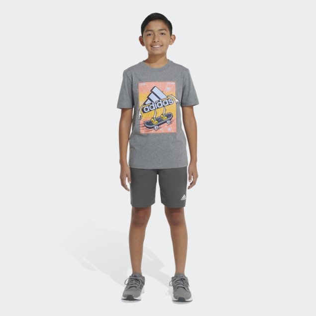 Camiseta Gris Medio Adidas Heather Skater Badge Of Sport