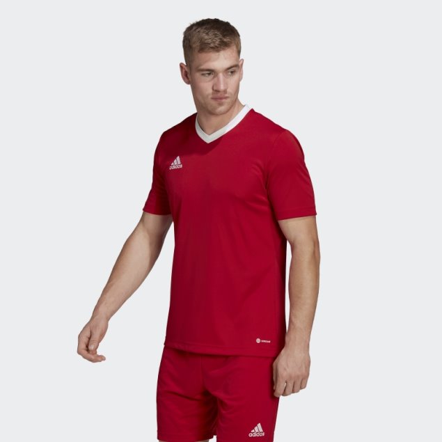 Camiseta Roja Entrada 22 Adidas