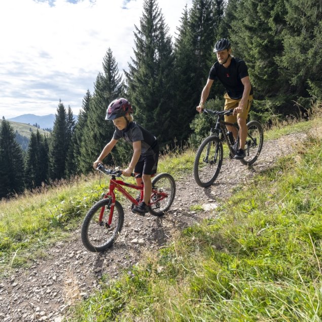 Gris Adidas Five Ten Freerider Zapatos De Bicicleta De Montaña