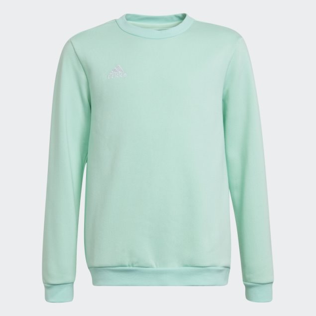 Sudadera Entrada 22 Adidas Menta