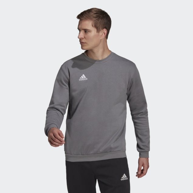 Sudadera Entrada 22 Gris Adidas