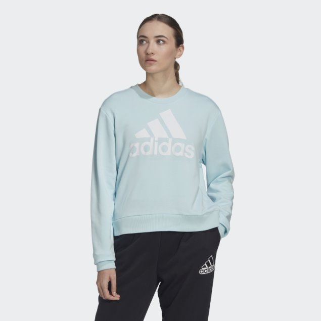 Adidas Essentials Logo Sudadera Suelta Azul