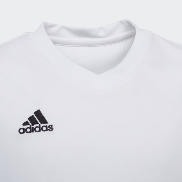 Camiseta Adidas Entrada 22 Blanca